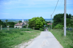 DSC_6466