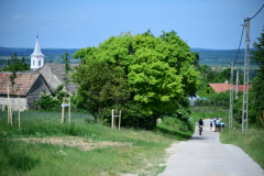 DSC_6498