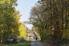 i-oszi-bringa-tura-fraunholcz-attila-osszes-00250