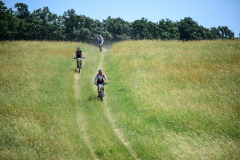 Image00206